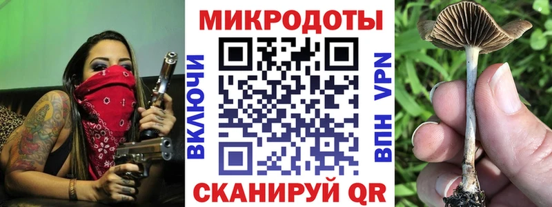 Купить где Георгиевск Псилоцибиновые грибы Psilocybe
